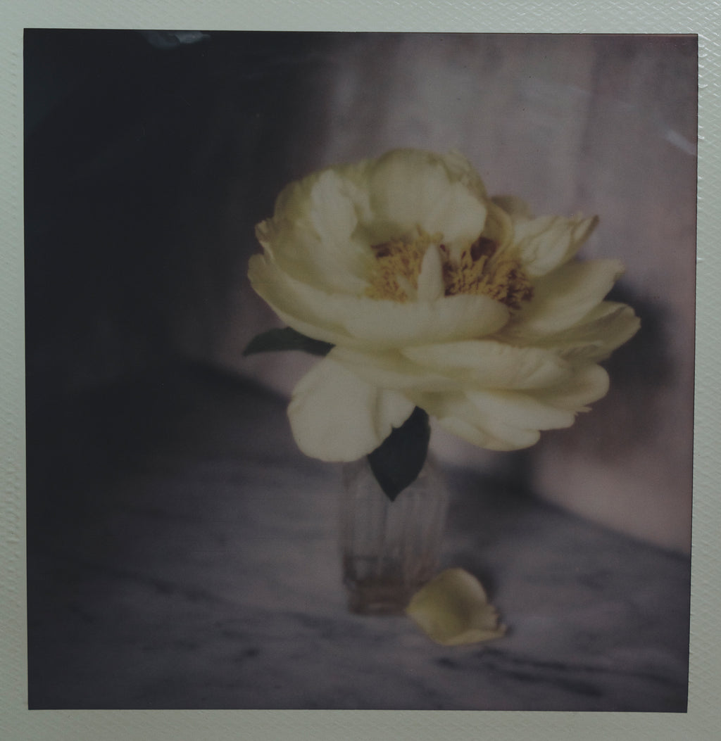 Polaroid Studio Artifact 55