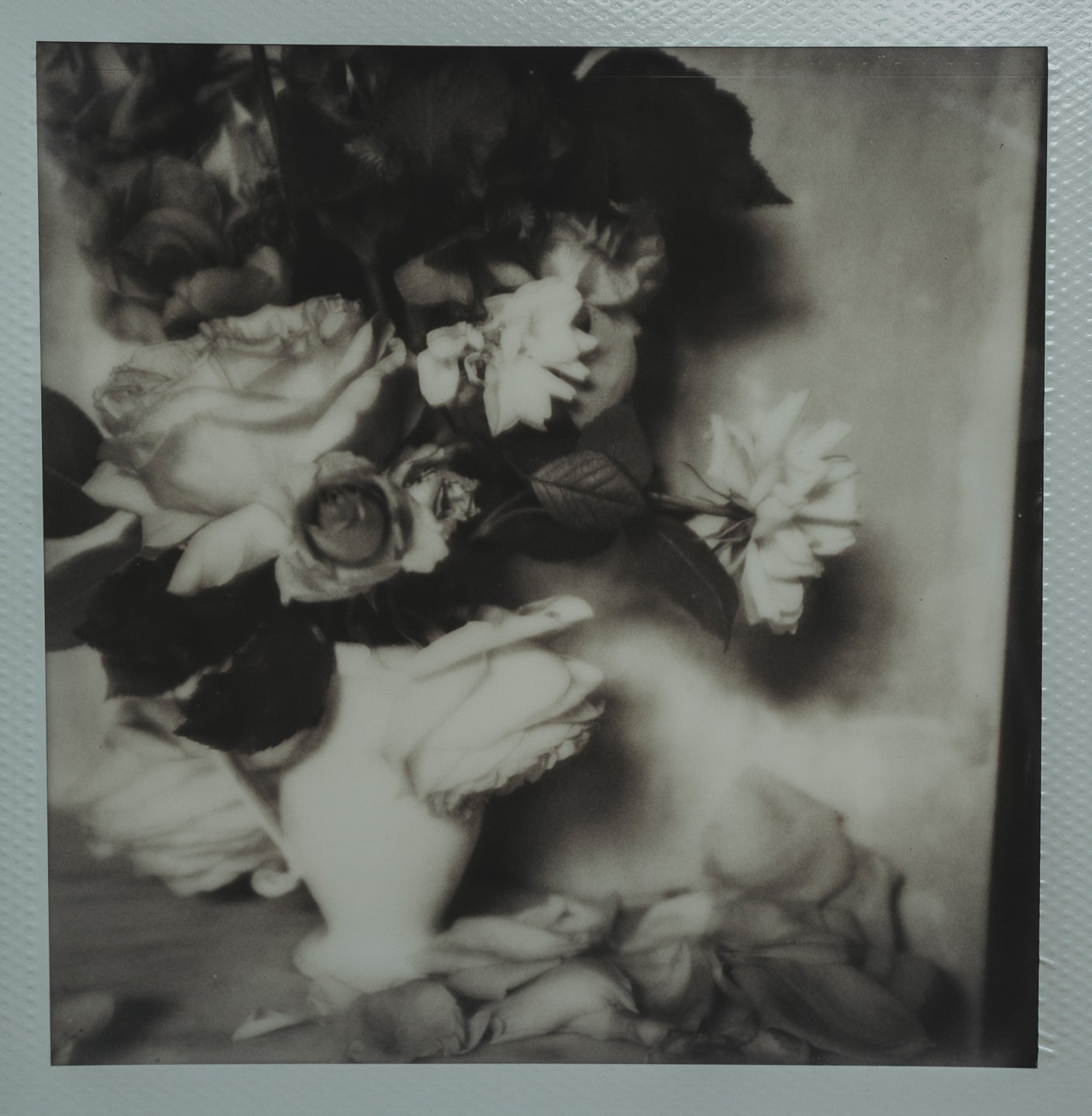 Polaroid Studio Artifact 57
