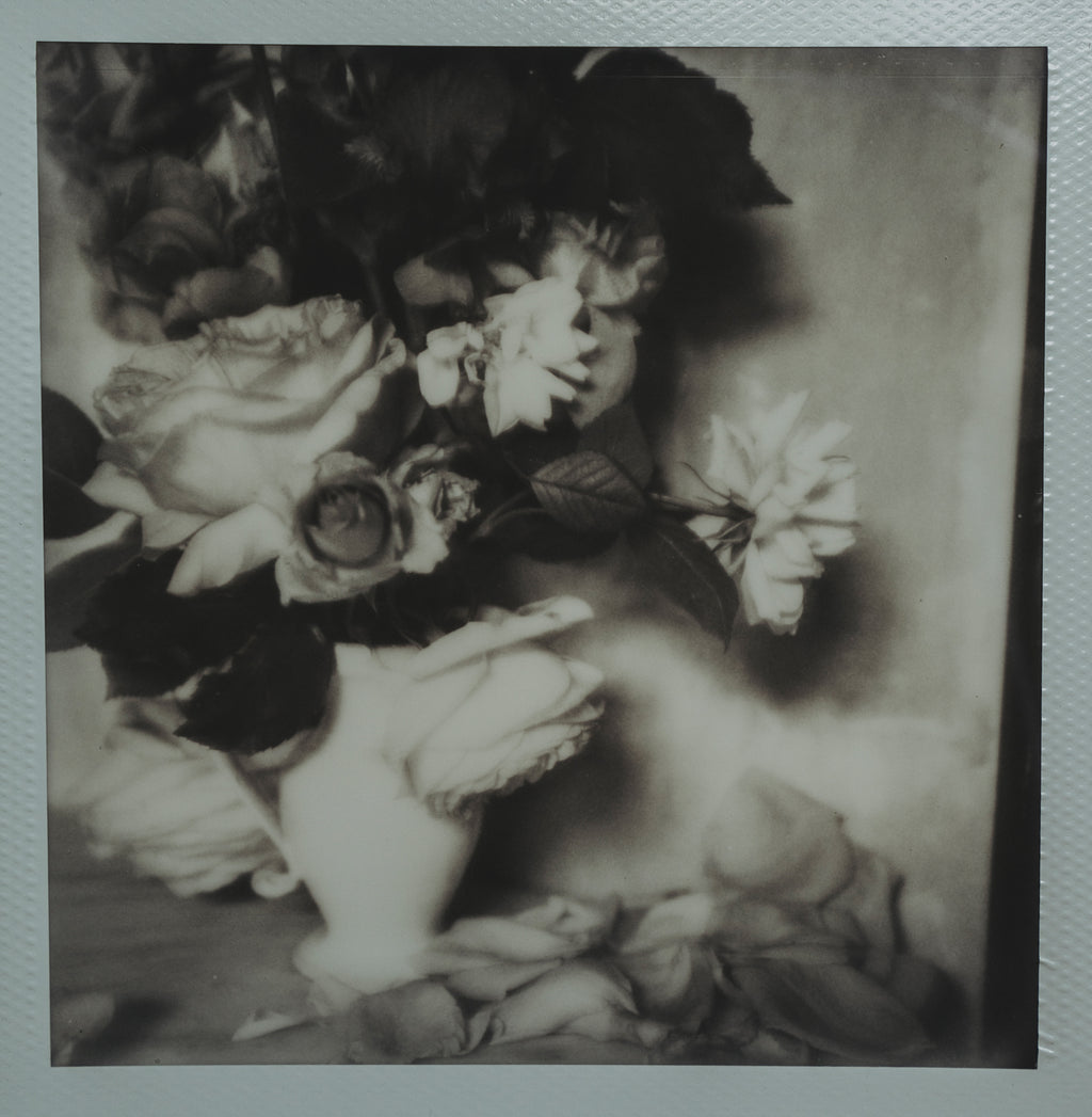 Polaroid Studio Artifact 57
