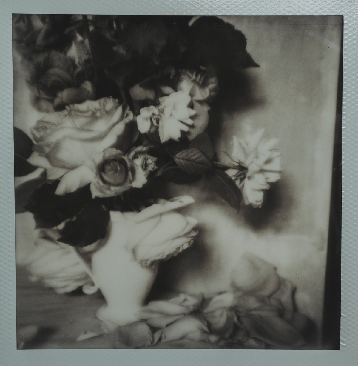 Polaroid Studio Artifact 57