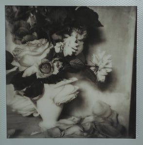 Polaroid Studio Artifact 57