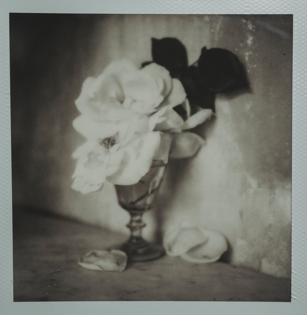 Polaroid Studio Artifact 62