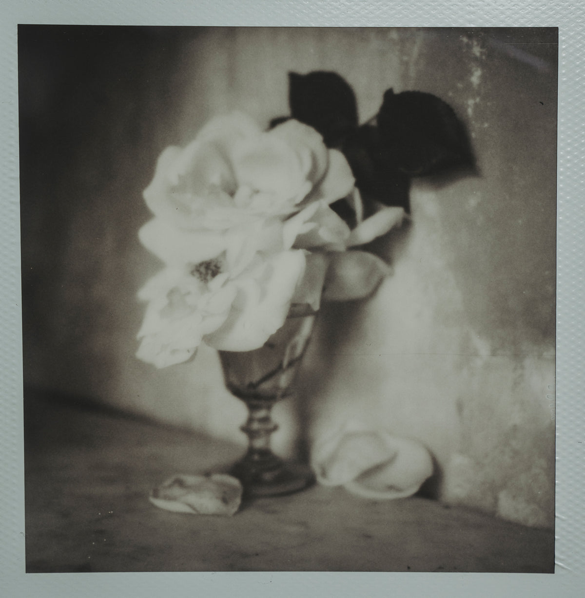Polaroid Studio Artifact 62