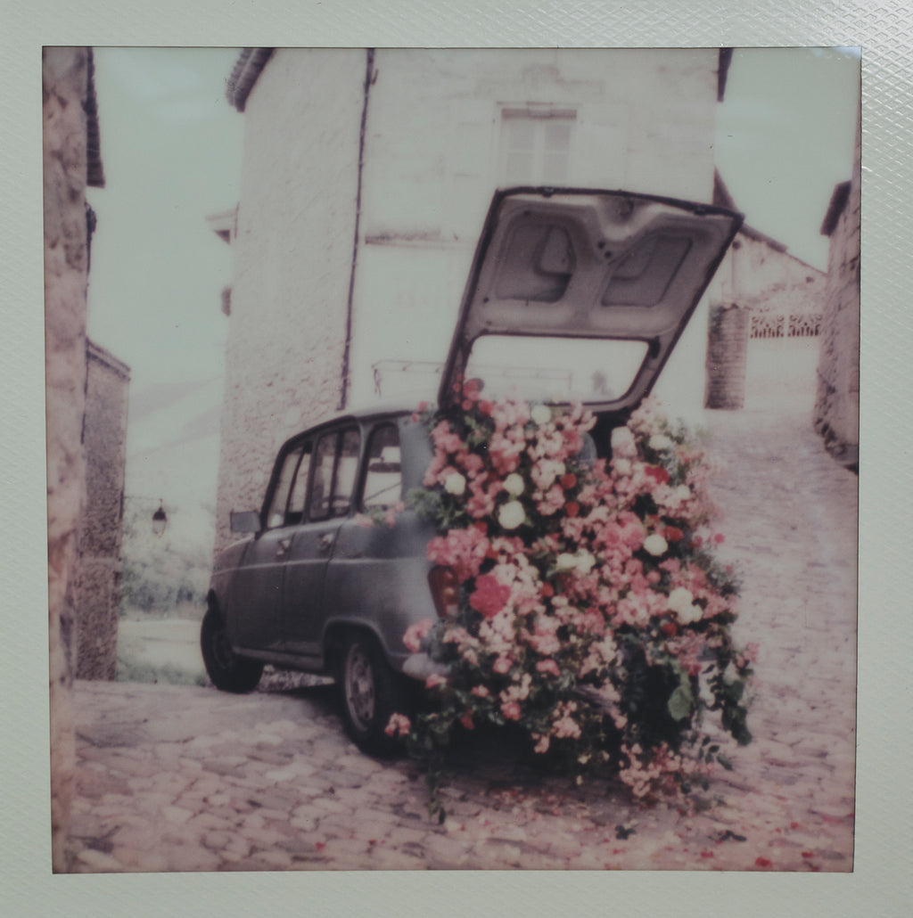 Polaroid Studio Artifact 65