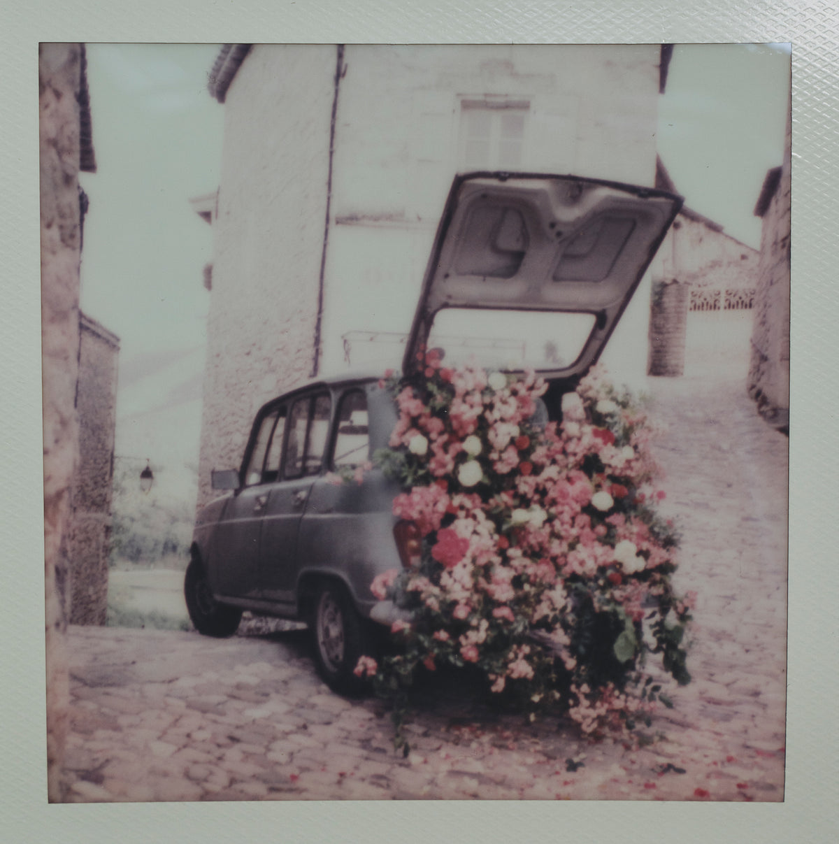 Polaroid Studio Artifact 65