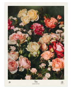 Rose Month Day Twenty-five Poster