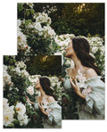 Rose Month Day Twenty-six Small Poster