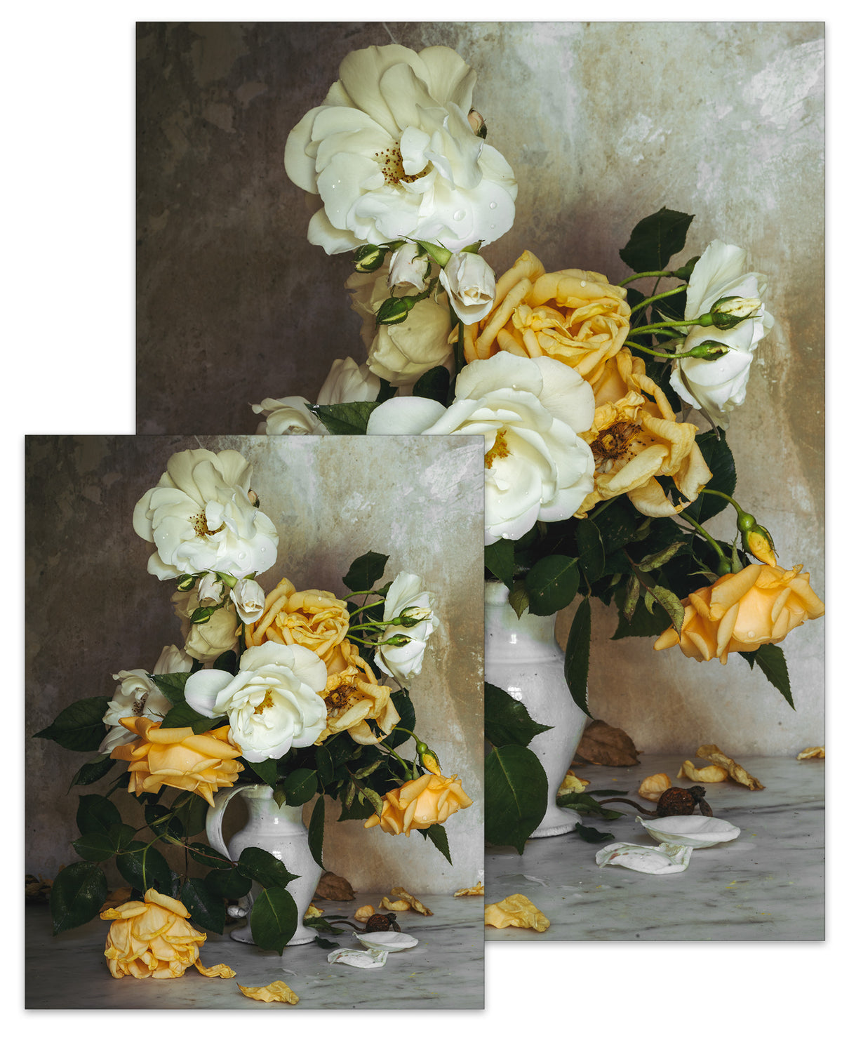 Rose Month Day Twelve Small Poster