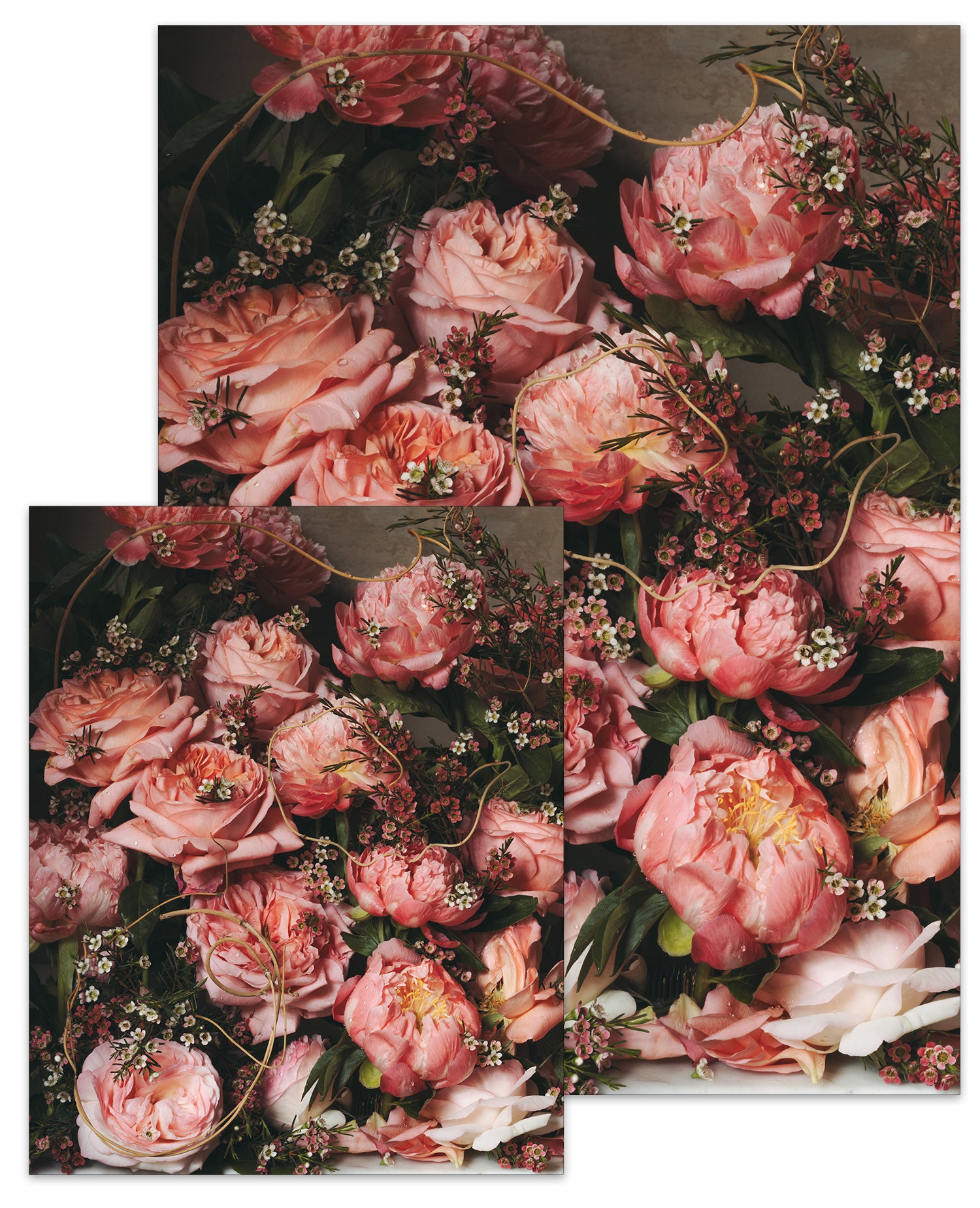 Rose Month Day Seven Small Poster