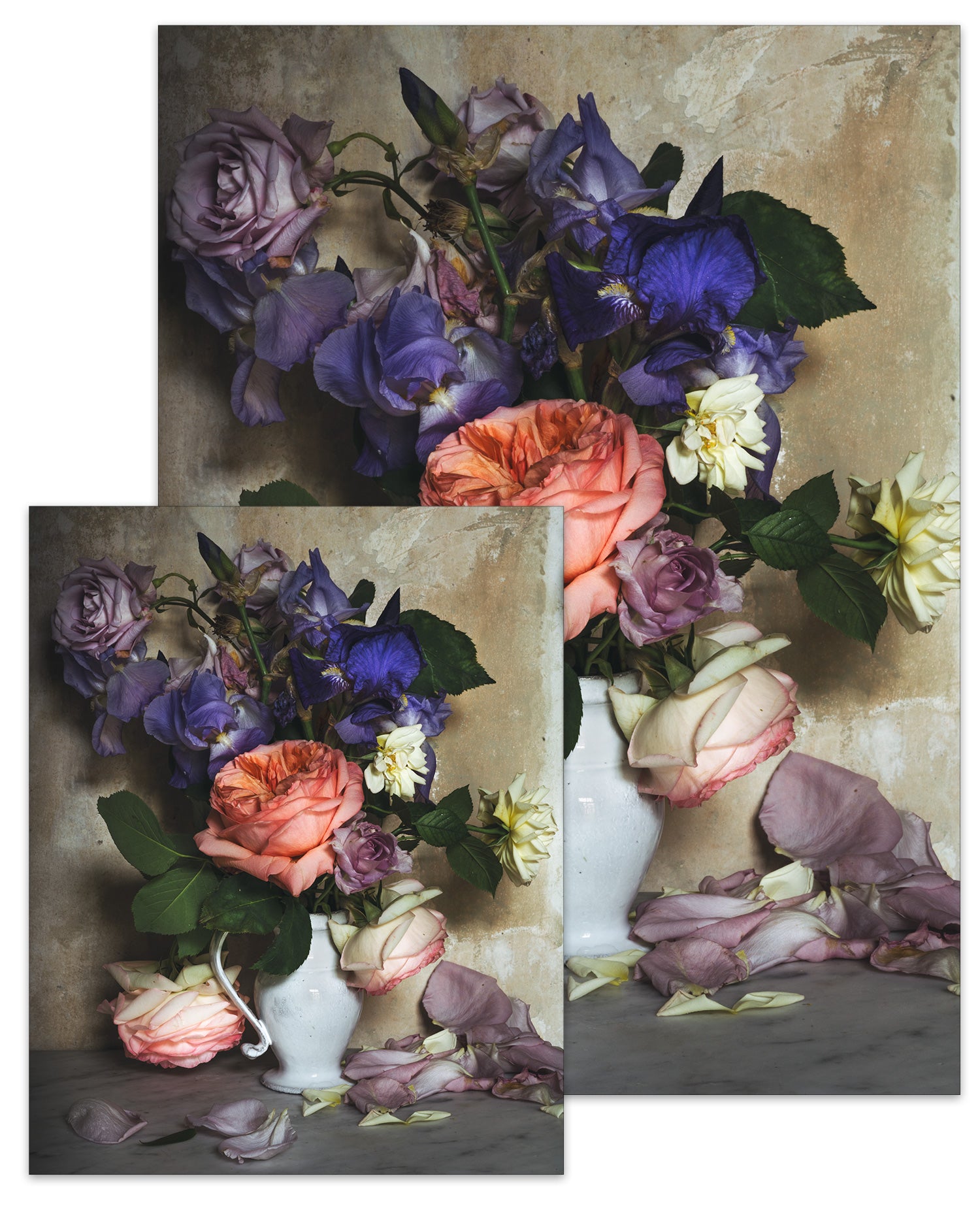 Rose Month Day Eight Small Poster