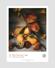  Day Seventy-one Poster
