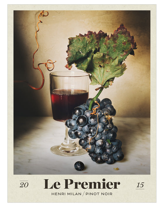 Domaine Milan Pinot Noir 2015 - Posters