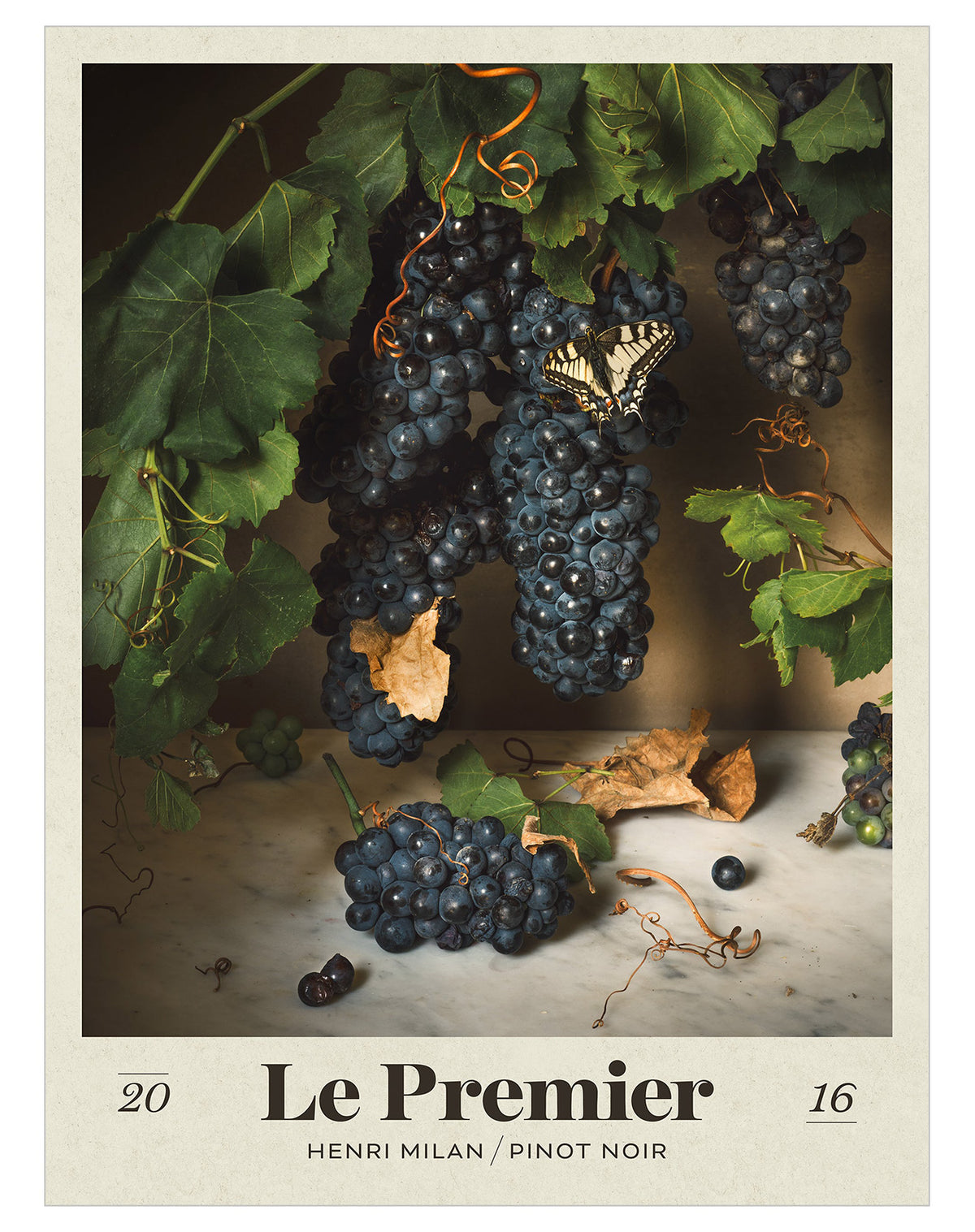 Domaine Milan Pinot Noir 2016 - Posters