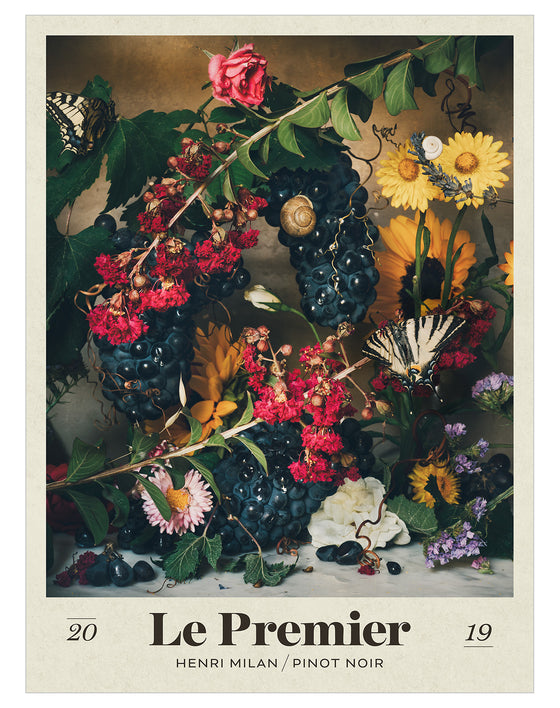 Domaine Milan Pinot Noir 2019 - Posters