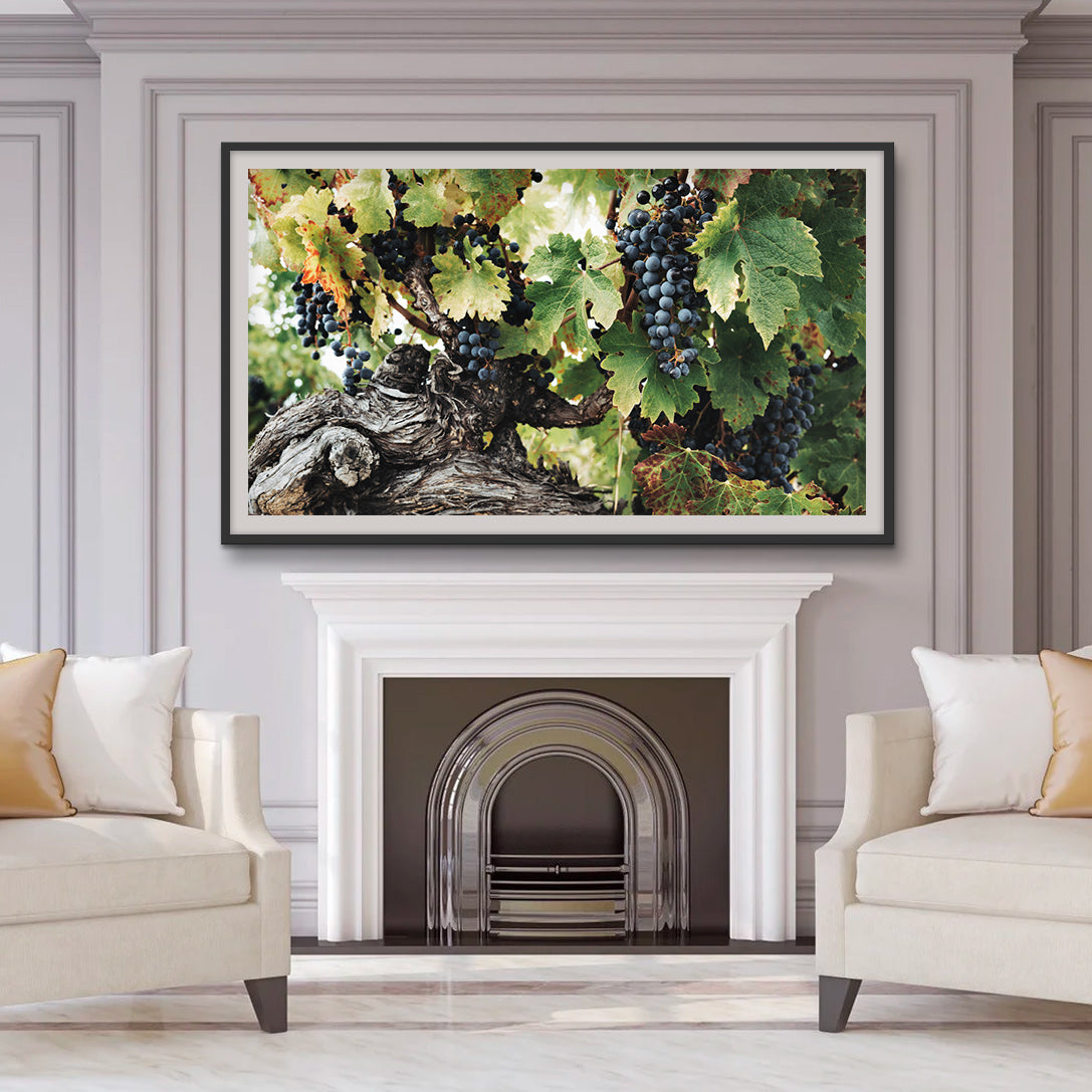 An American in Provence • Complete Pack of 75 • Art for Samsung The FRAME TV