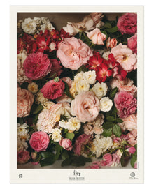 Rose Month Day Twenty-three Poster