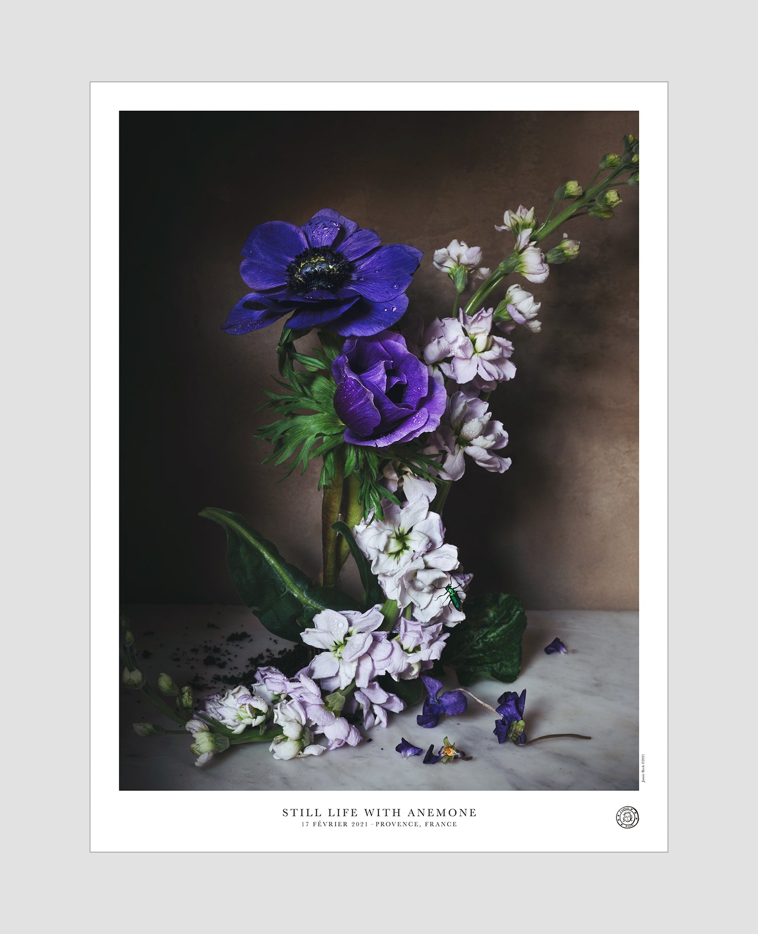 Still Life with Anemone Poster