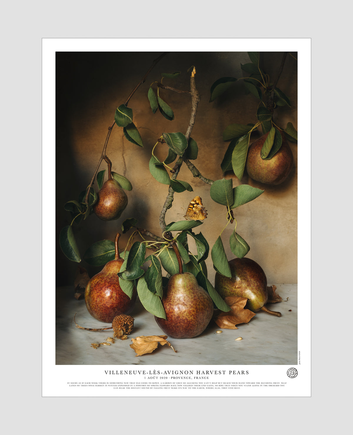 Villeneuve-lès-Avignon Harvest Pears Poster