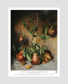 Villeneuve-lès-Avignon Harvest Pears Poster