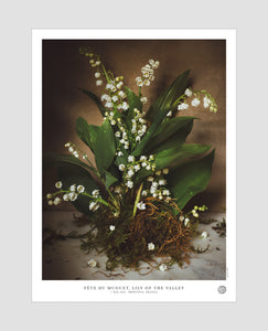 Lily of the Valley Poster