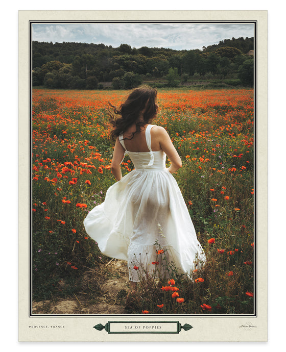 Sea of Poppies Poster