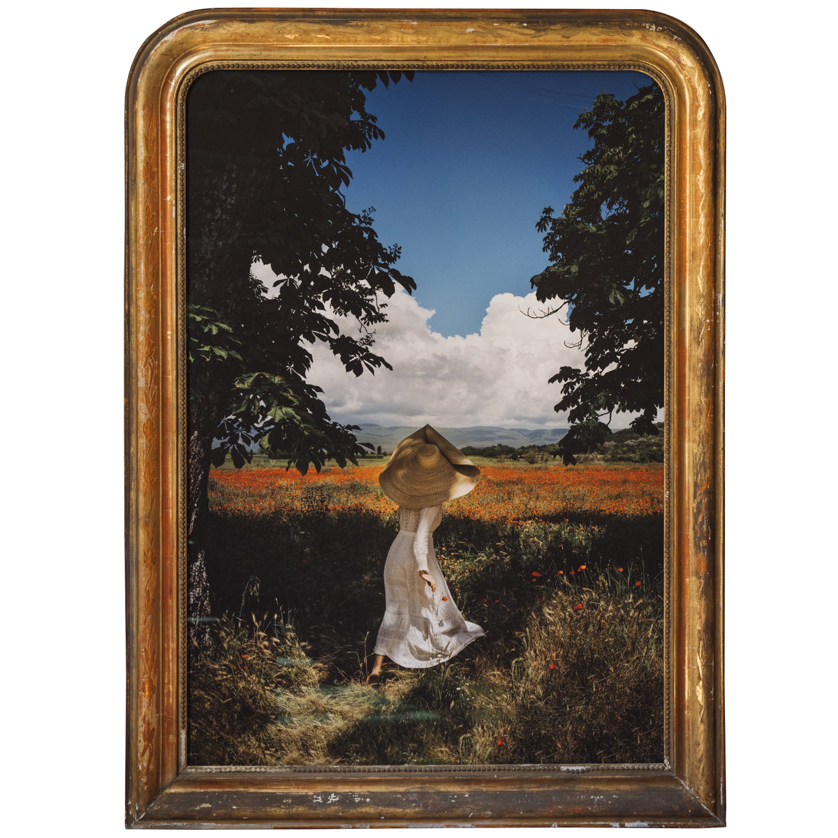An American in Provence Cover  - Fine Art Collectible