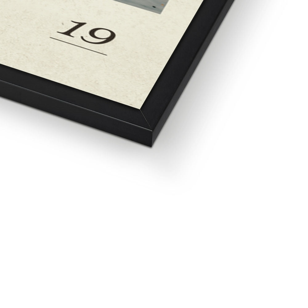DM-19 Framed Print