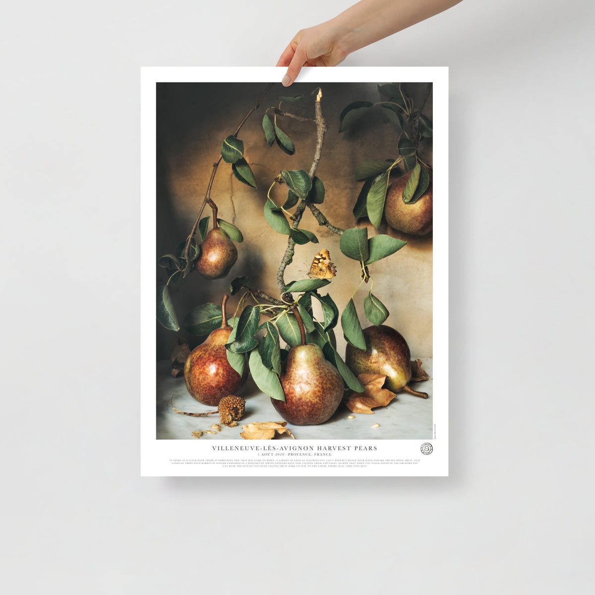 Villeneuve-lès-Avignon Harvest Pears Poster