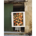 Harvest of Summer's Peach • Fine Art Print