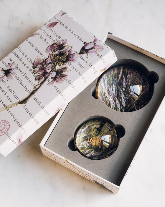 Drops of Provence Paperweight Set - Lavender