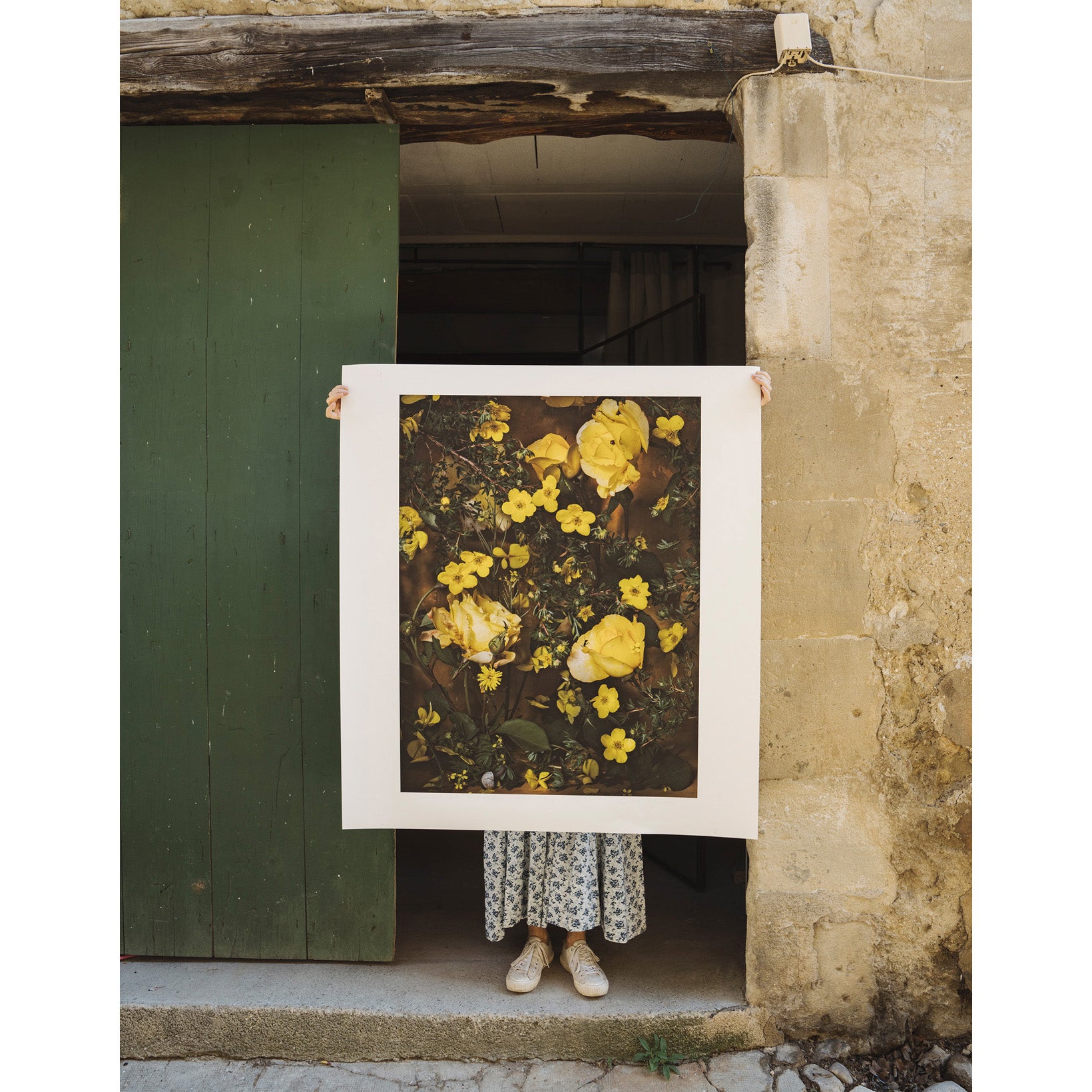 Nature's Gold • Fine Art Print
