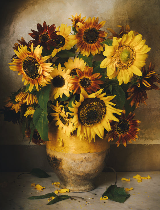 Coustellet Market Sunflowers Poster