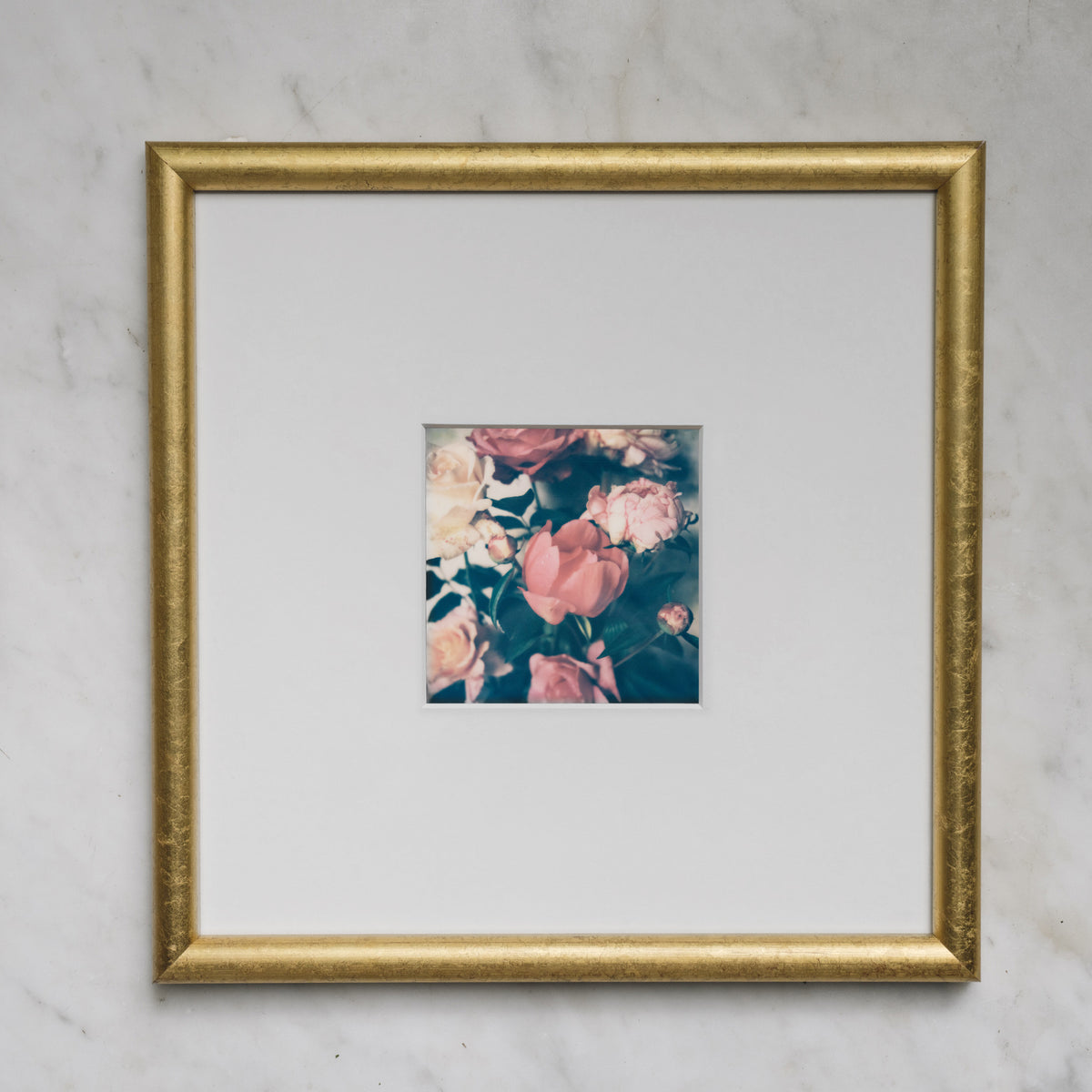 Polaroid Studio Artifact 72