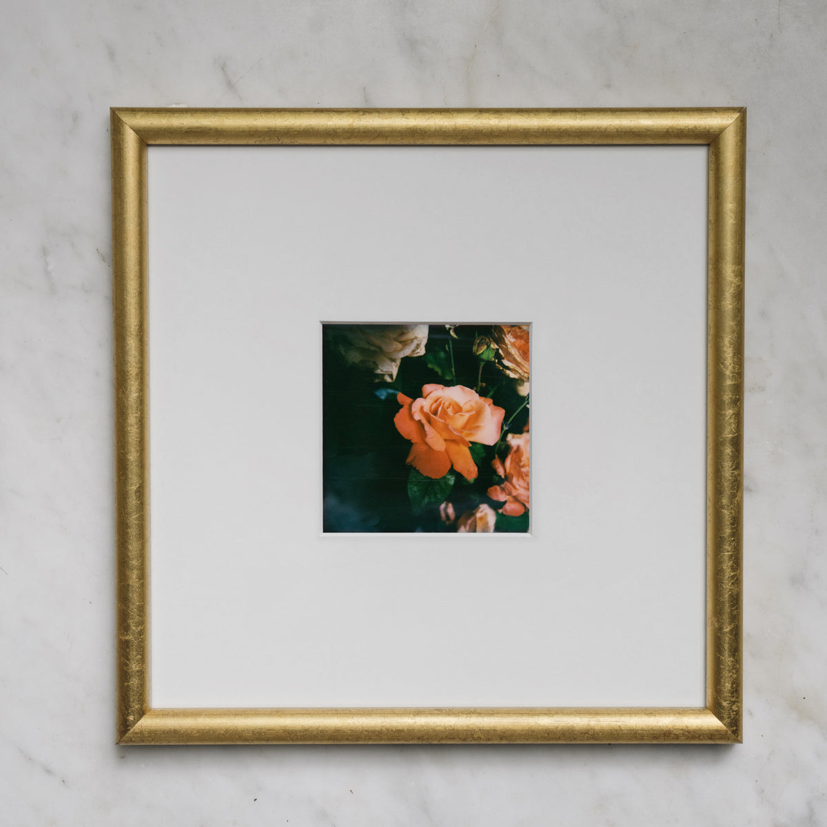Polaroid Studio Artifact 73
