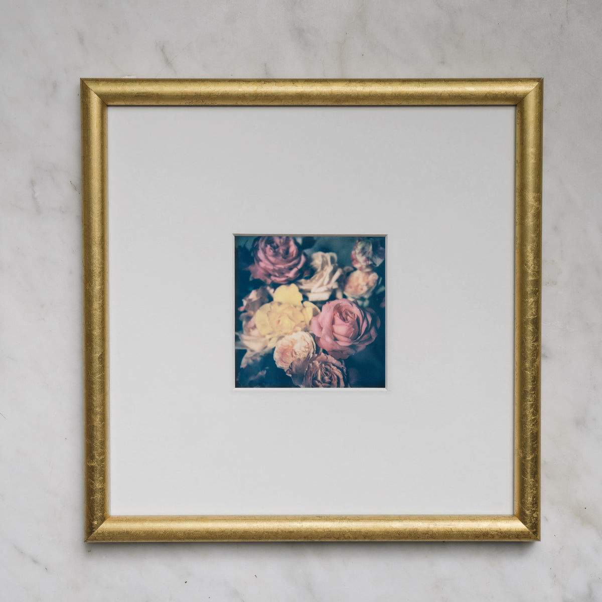 Polaroid Studio Artifact 74