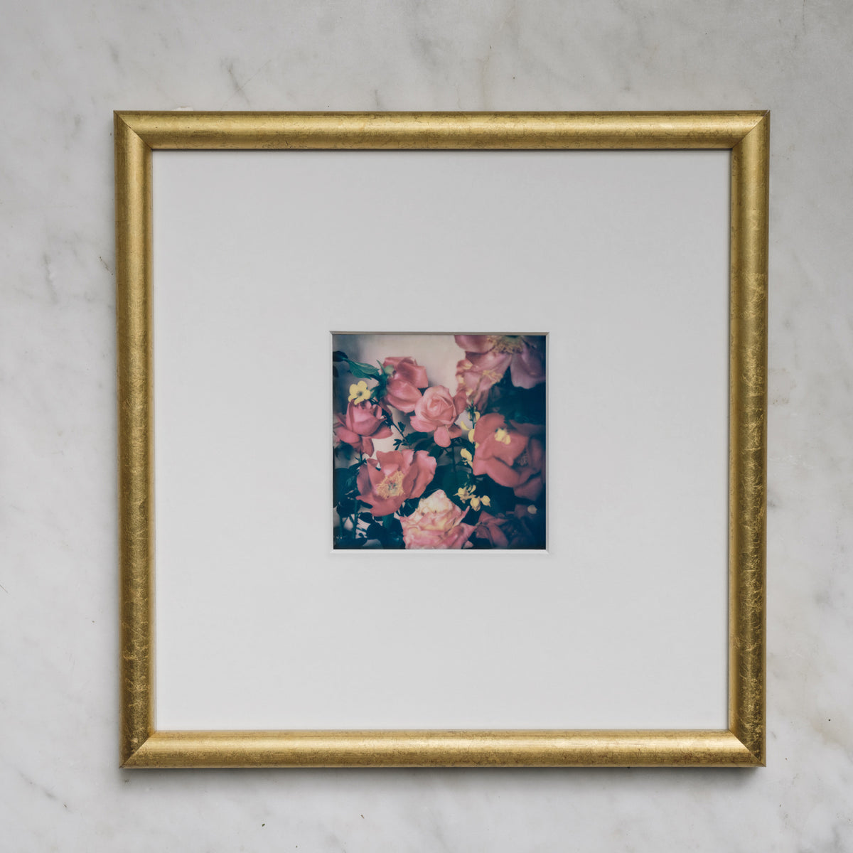 Polaroid Studio Artifact 77