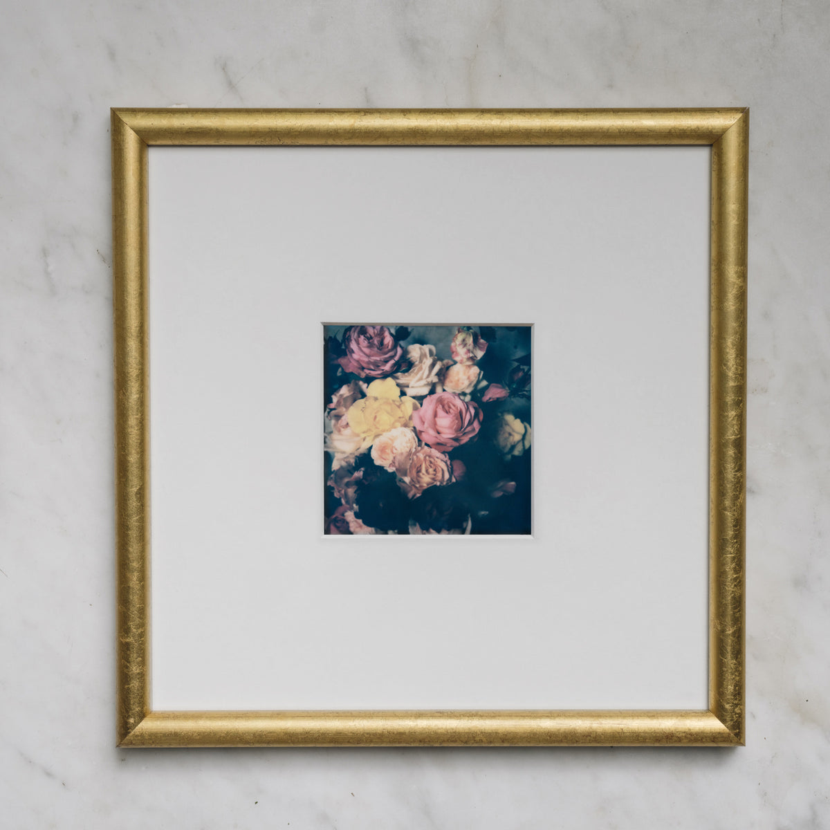 Polaroid Studio Artifact 78