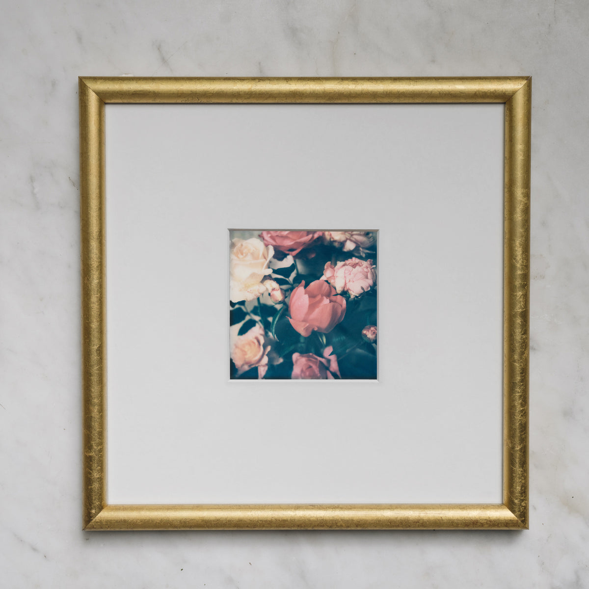 Polaroid Studio Artifact 81