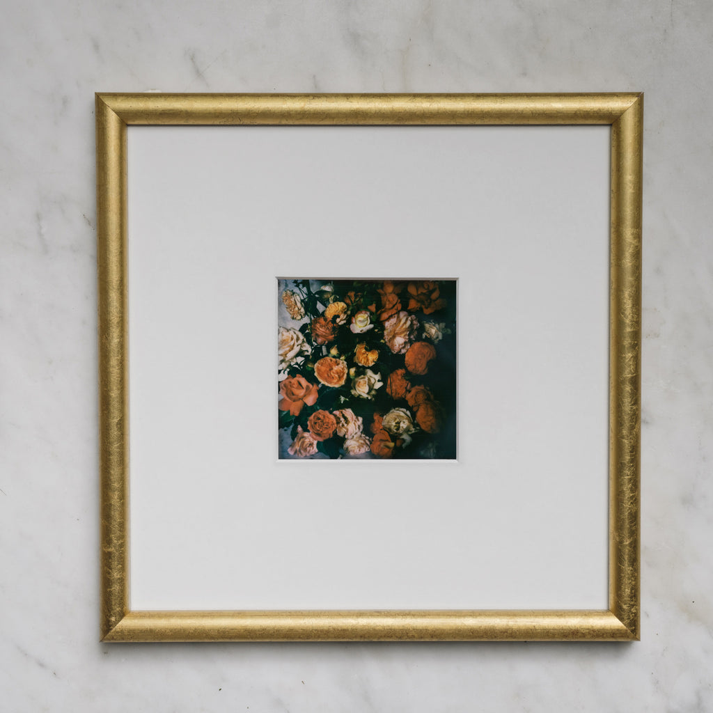 Polaroid Studio Artifact 83