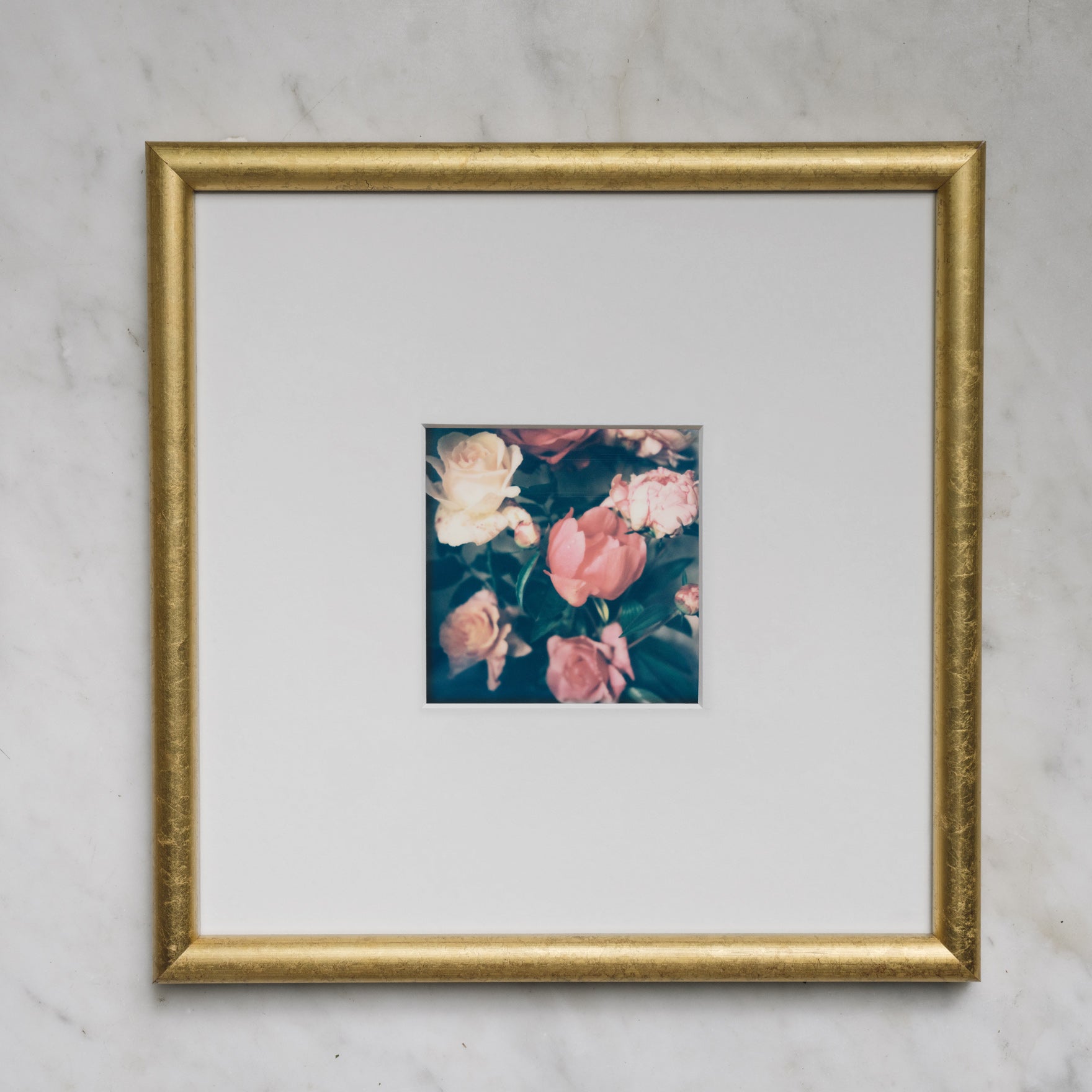 Polaroid Studio Artifact 84