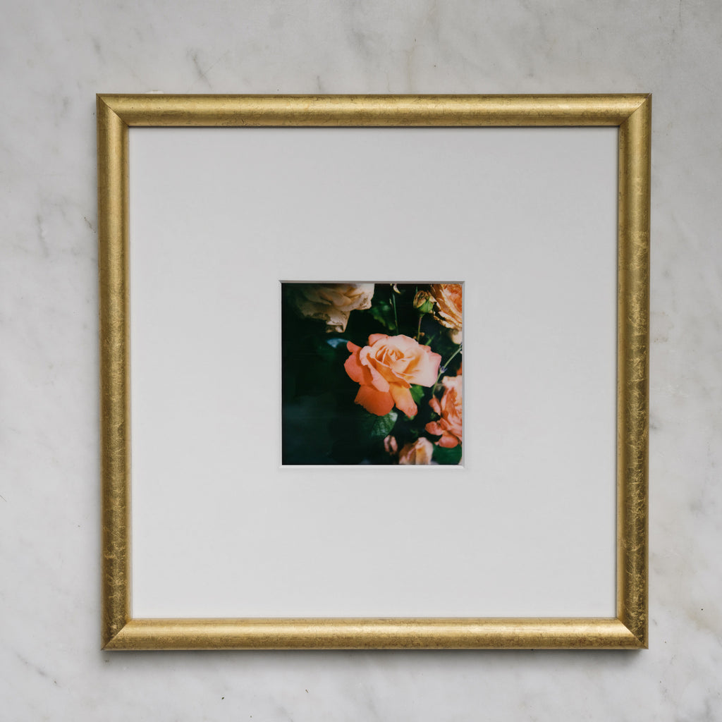 Polaroid Studio Artifact 85