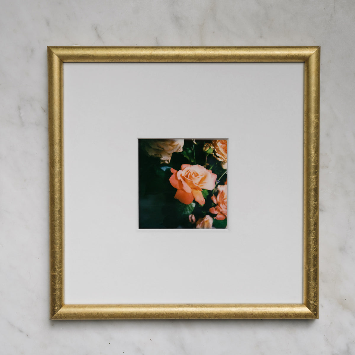 Polaroid Studio Artifact 85