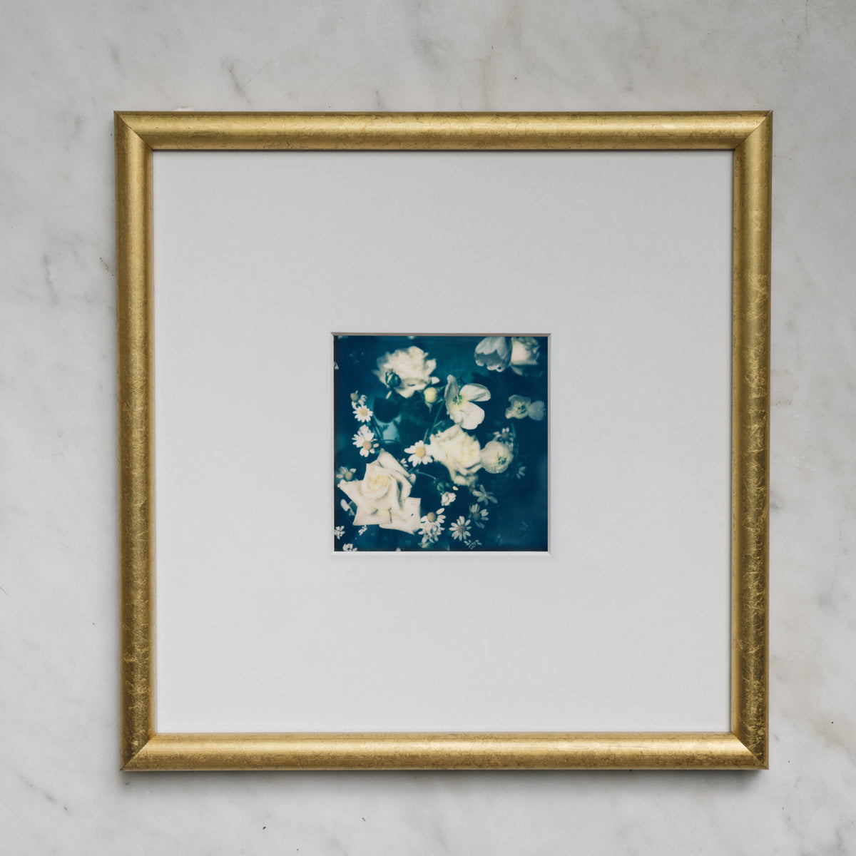Polaroid Studio Artifact 88