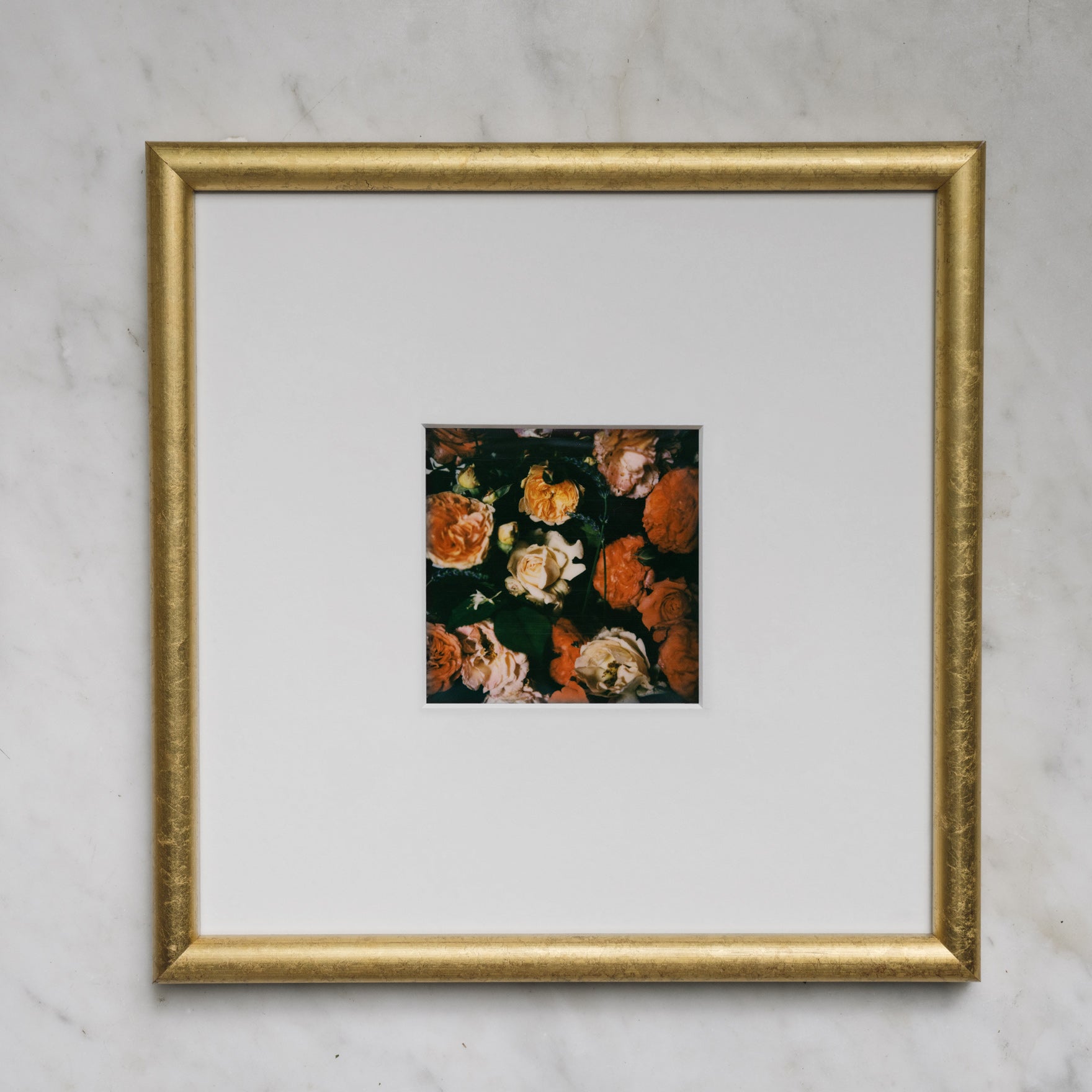 Polaroid Studio Artifact 92