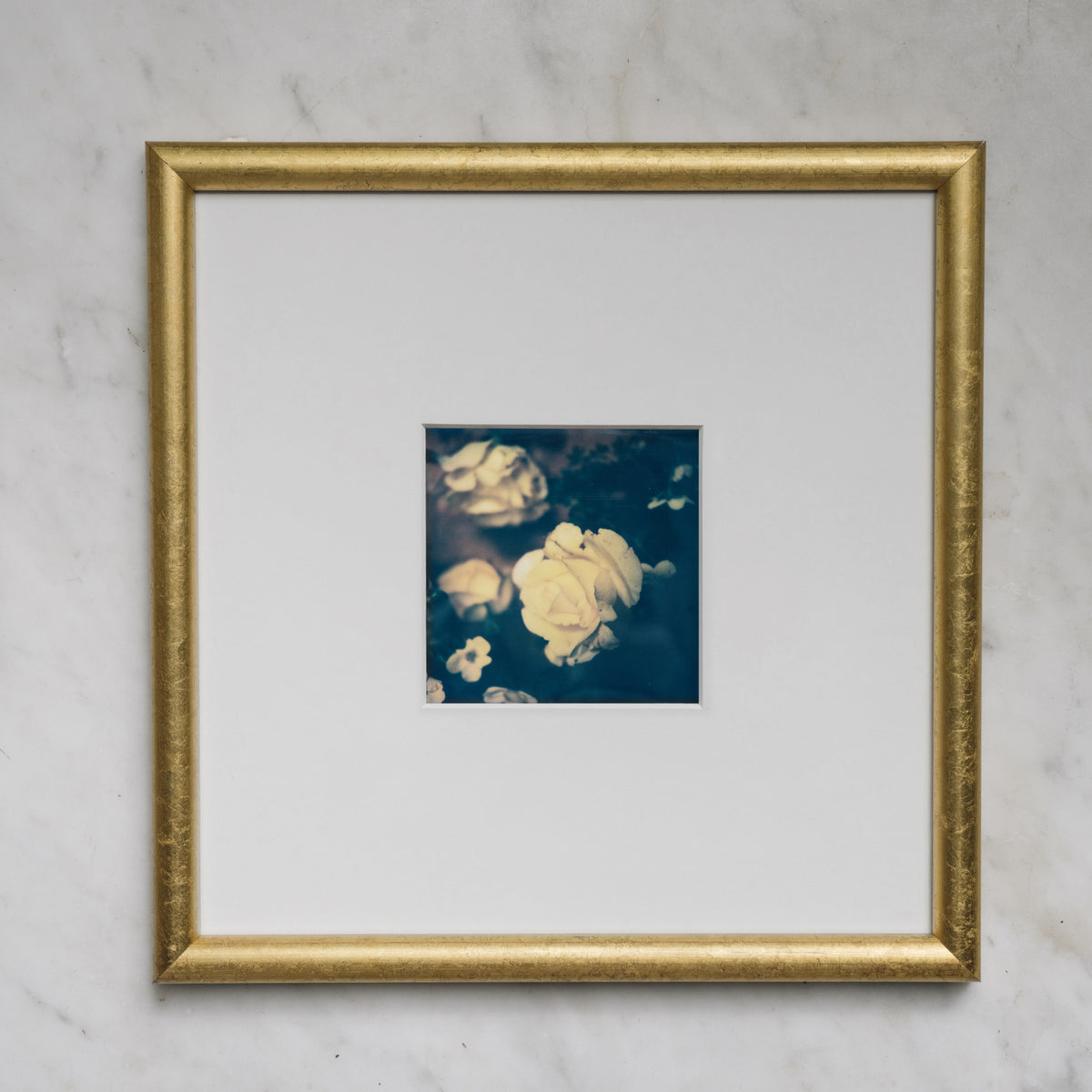 Polaroid Studio Artifact 97