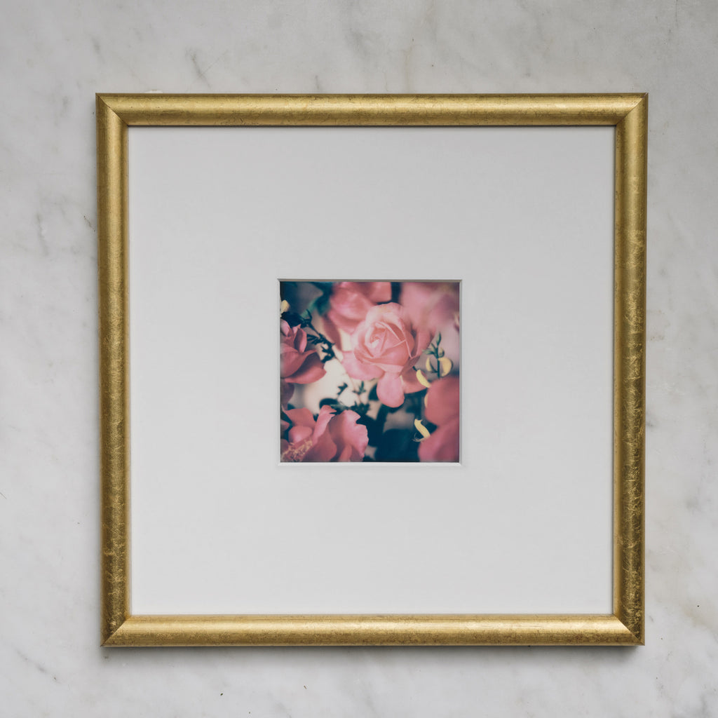 Polaroid Studio Artifact 101