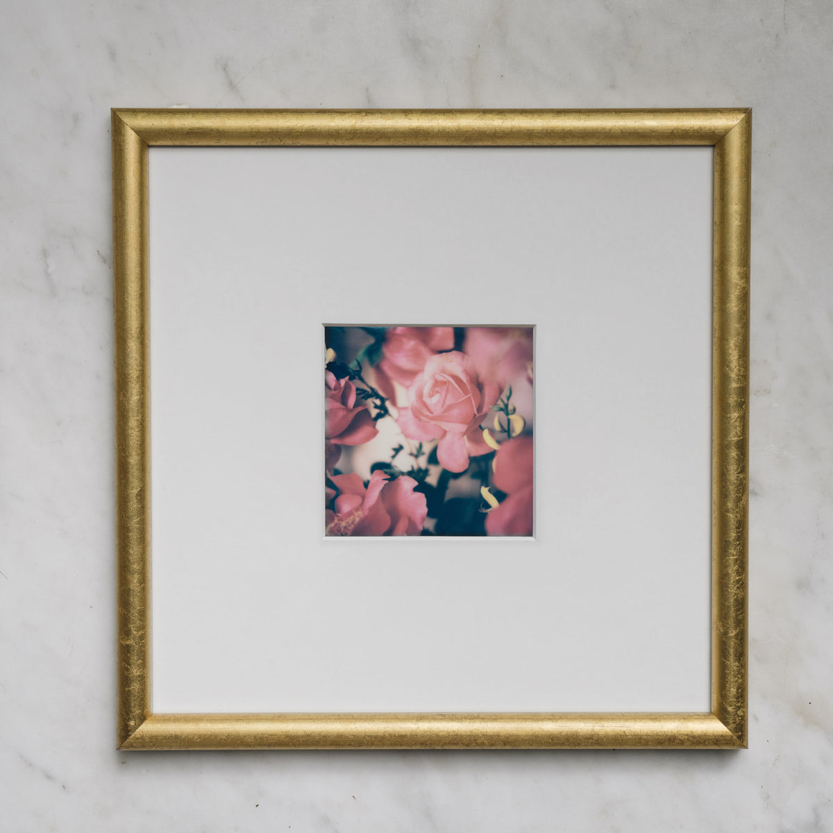 Polaroid Studio Artifact 101