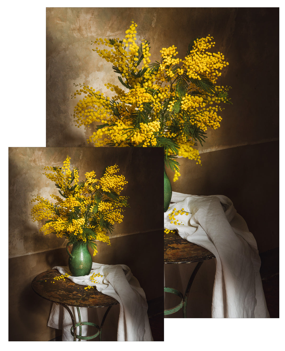 Still Life with Winter Mimosa Small Poster