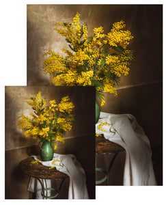 Still Life with Winter Mimosa Small Poster