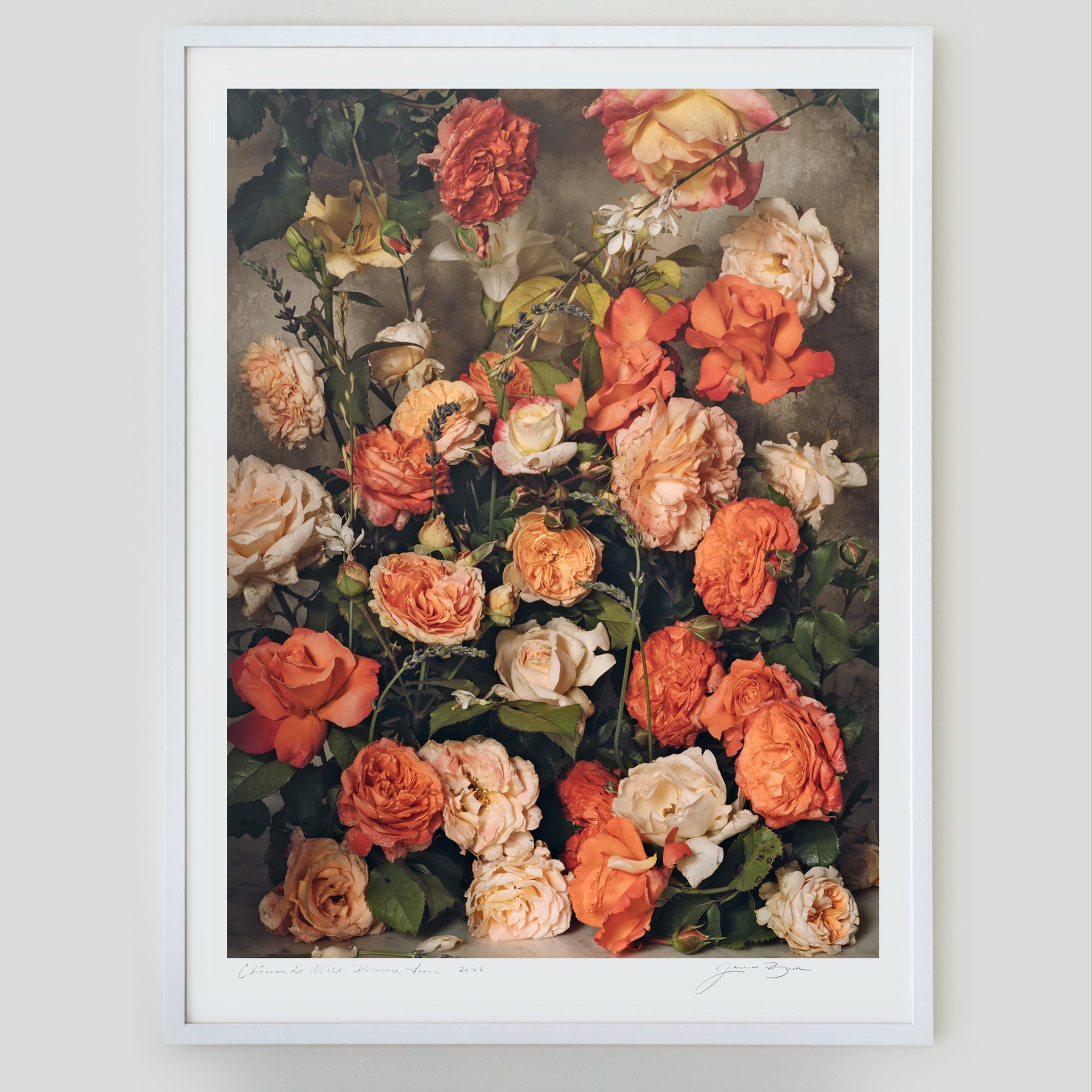 Harvest of Summer's Peach • 1 of 1 Framed Exhibition Piece